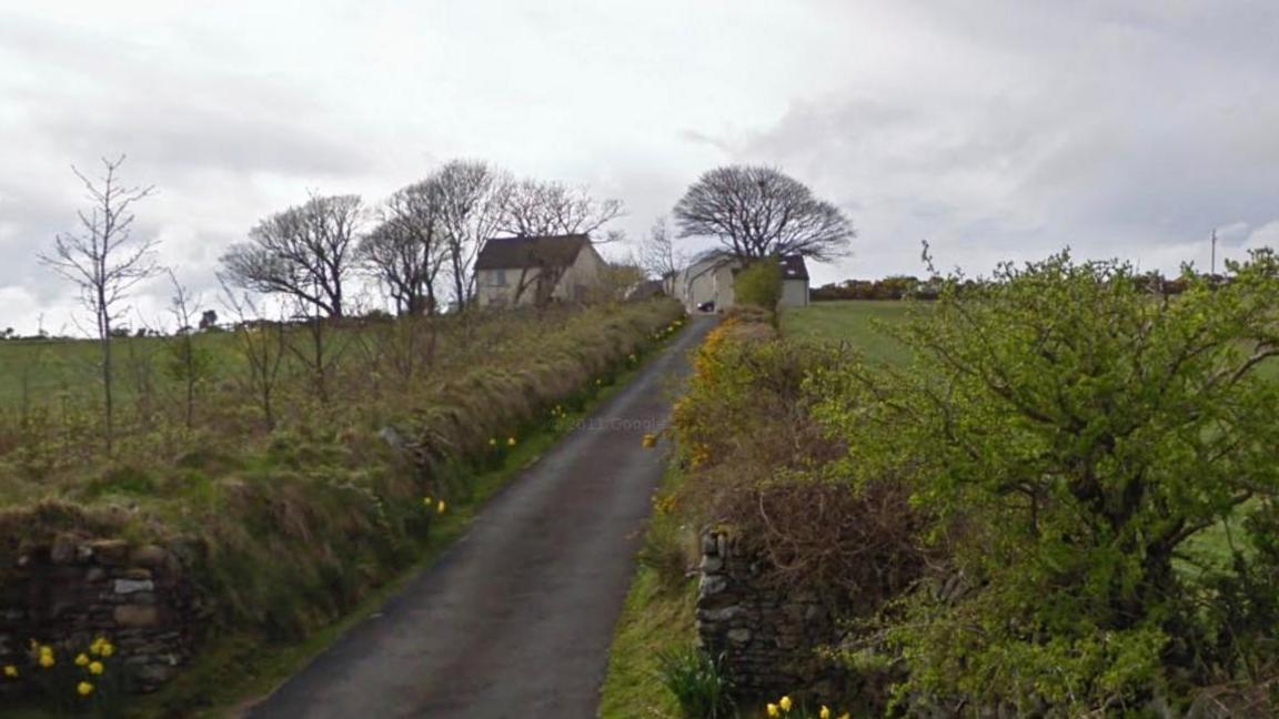 A cluster of buildings in the background with a country road leading up to it surrounded by hedges and grass.