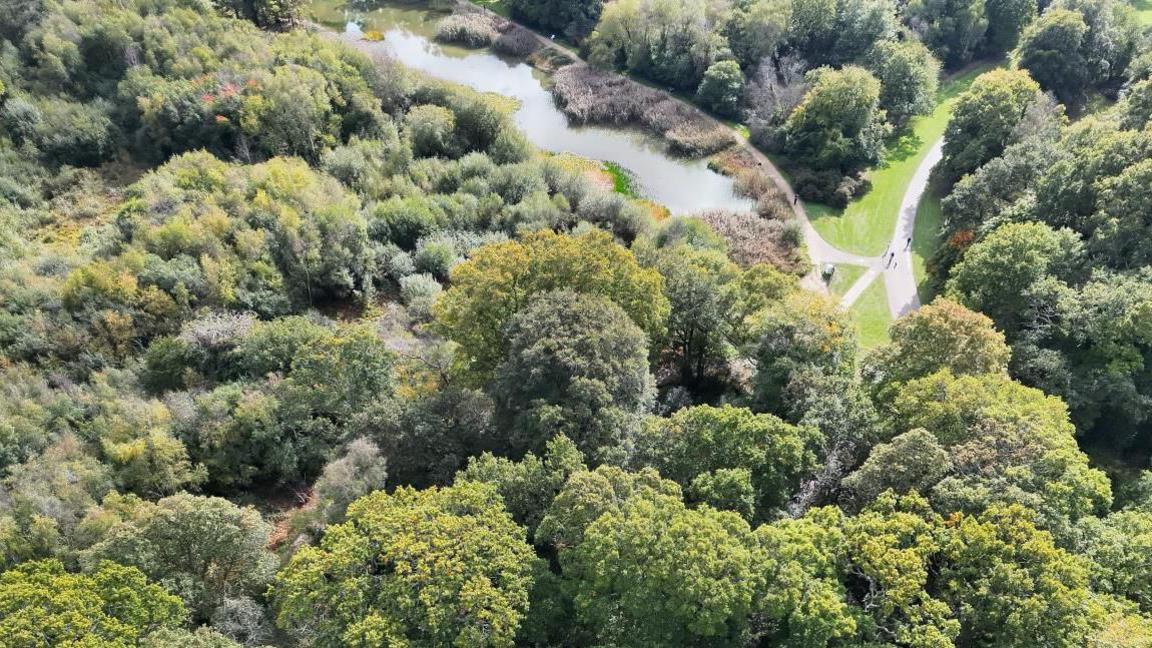 Dense area of green trees on Southampton Common.  A large lake can be seen between the woodland and paths fork off to the top right.  It is daylight.