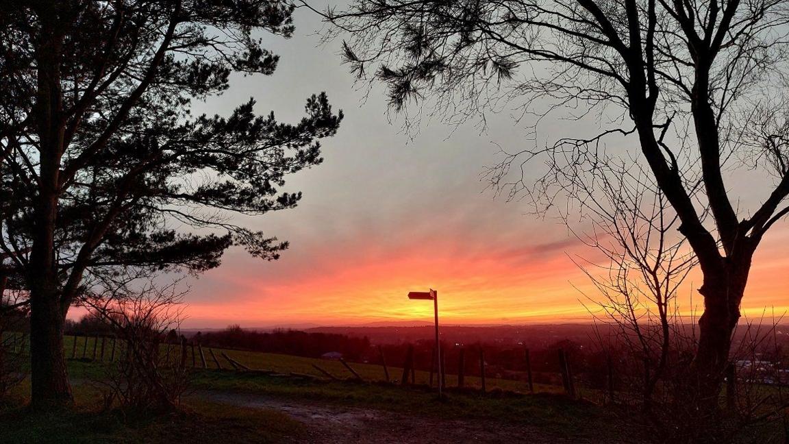 Two trees outlined either side of a signpost against the rising sun with the light turning the sky red and yellow under the clouds.