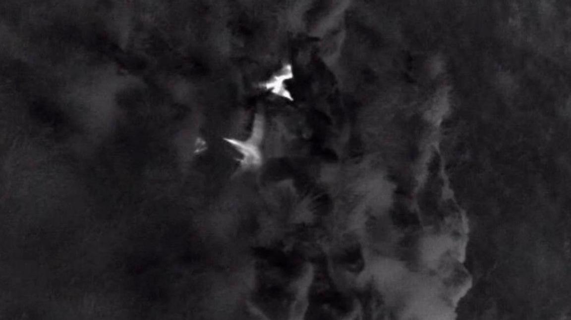 Night time vision of birds, that are white on a black dark background. 