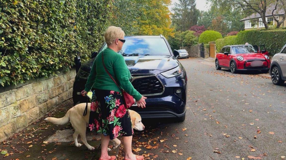 A woman is walking with the assistance of a light-coloured Labrador Retriever, who is a working guide dog. The dog wears a harness and guides the woman around a black SUV, which is parked on the footpath.