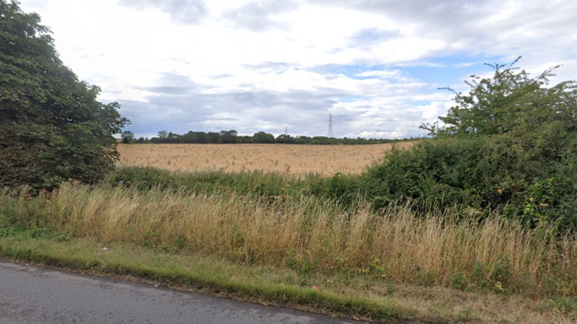 A view of a field with a road and hedgerow in the foreground and pylons in the background.