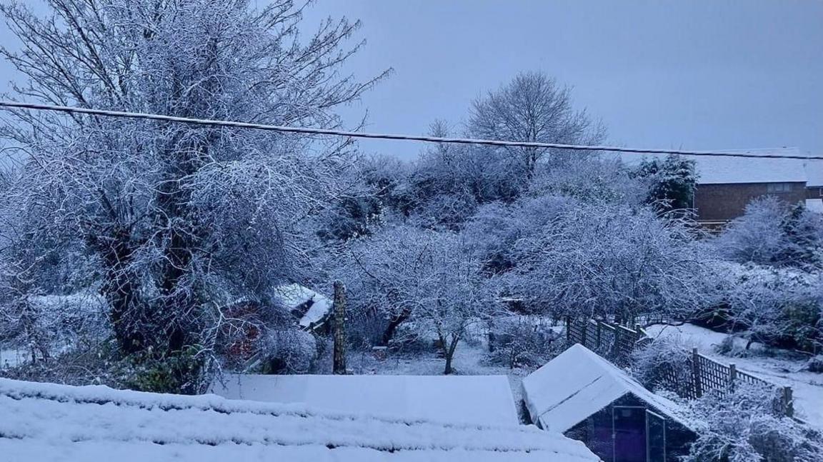 A view across several back gardens which have been buried in snow