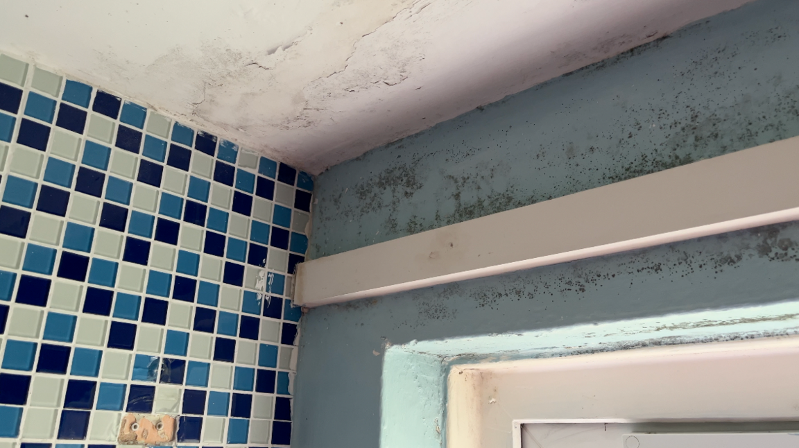 A bathroom with light blue paint around a window and blue and white tiles. There are spores of black mould above the window, all over the walls and spreading onto the ceiling.
