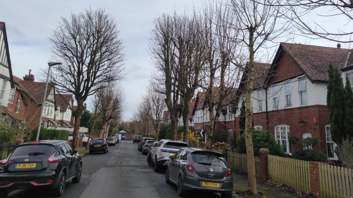 A tree lined street with Victorian houses 