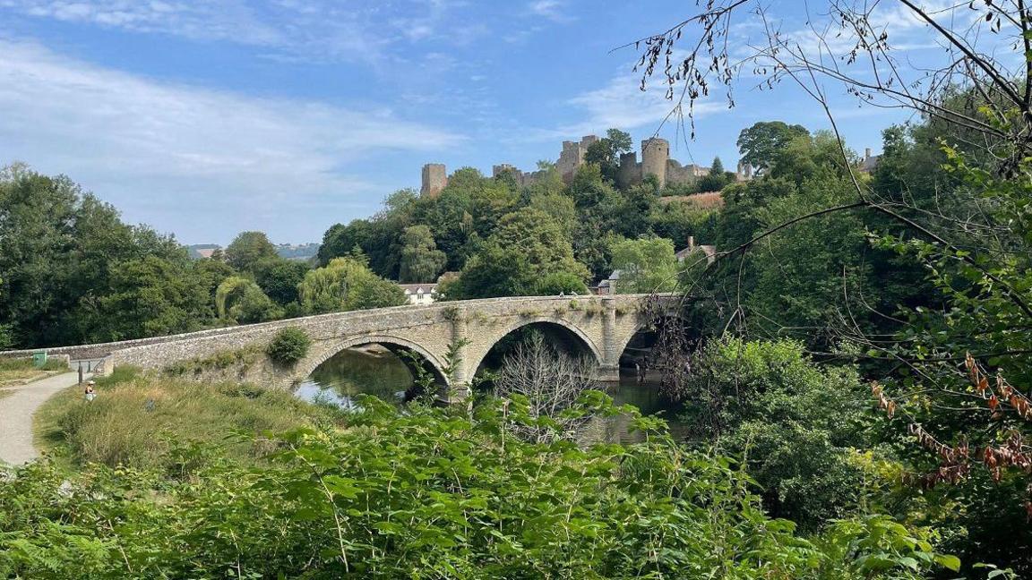 A stone bridge with a series of arches goes across a river leading to a town.