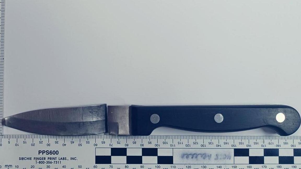 A black handled kitchen knife, the blade has been snapped away from the hilt but is placed above oit. Below is a ruler measuring the blade and handle to be 195cm long