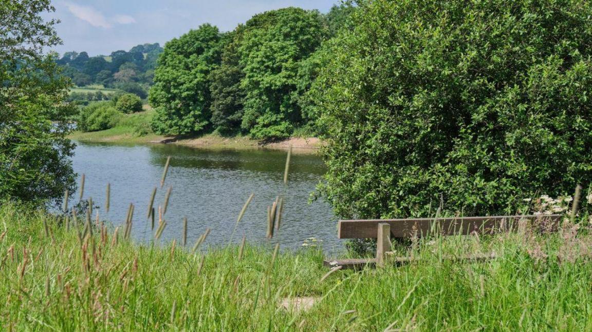 A lake seen from behind some trees and a wooden bench, with long grass in the foreground