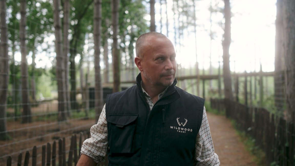 Mark Habben is walking down a path which has animal enclosures to his left and right. There are trees in the enclosures and wire fencing. Mr Habben is wearing a navy gilet with white Wildwood Trust branding on  the left breast pocket over a checked shirt. He has a shaven head and a light grey goatee and is looking to the left as he walks.