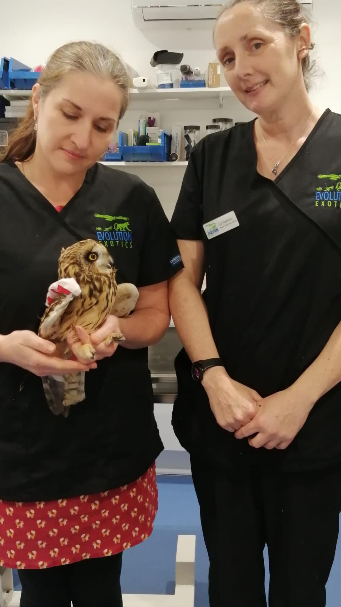 Liz Hanson and Marie Kubiak holding the rare owl. They are both wearing black medical tops. 