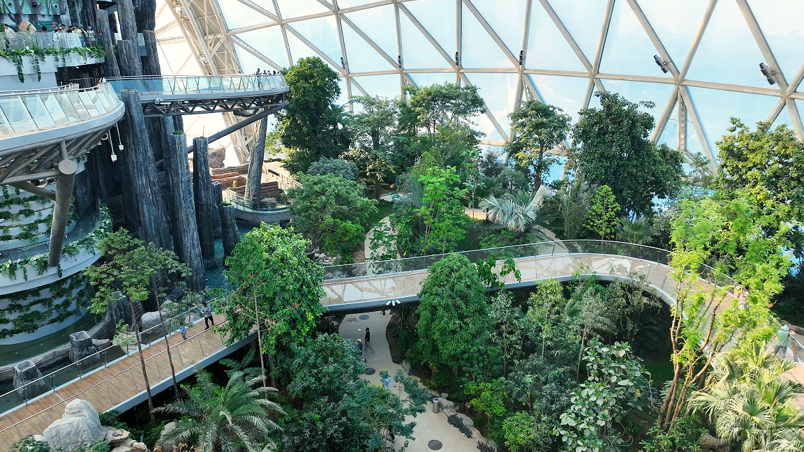 Inside the rainforest biome. The tropical plants are mature and there are glass walkways throughout.
