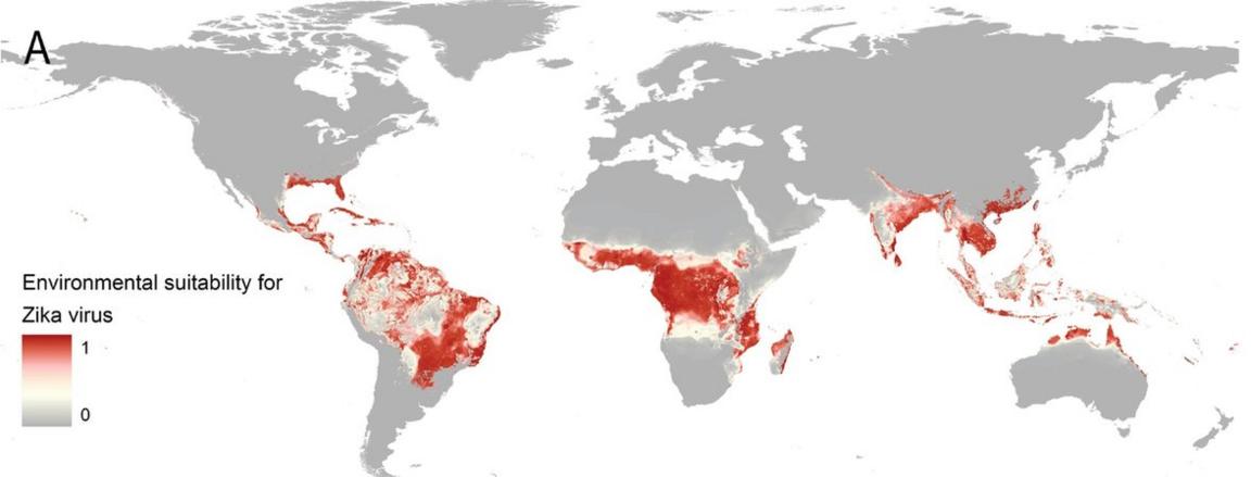 Global Zika threat map