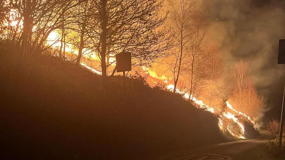 Tree lined slope ablaze next to a road
