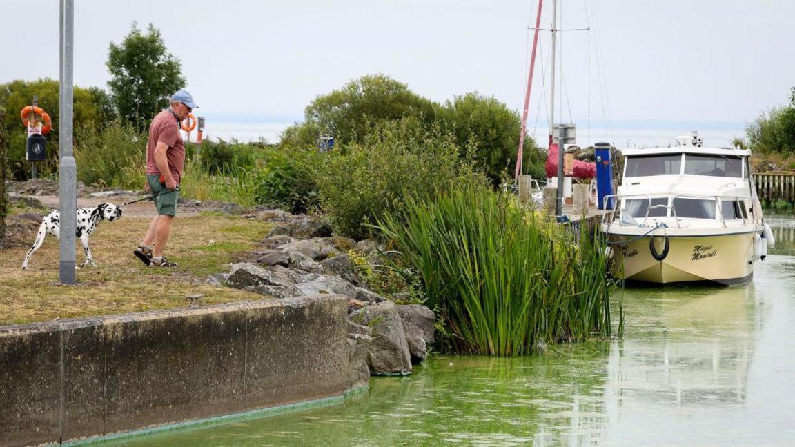 A man with a Dalmatian dog standing at the side of the lough which has blue-green algae in it. There is a white boat sitting at the side of the lough. 
