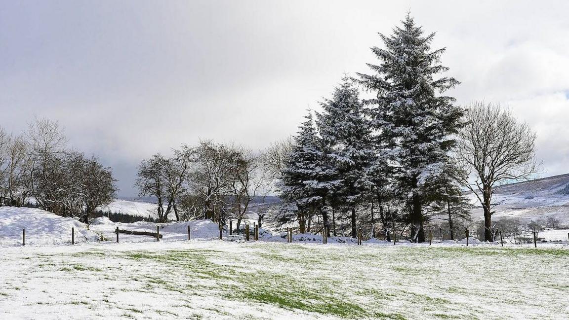 A field in Northern Ireland with a light covering of snow with more snow on hills in the background and on trees to the rear of the fence around the field