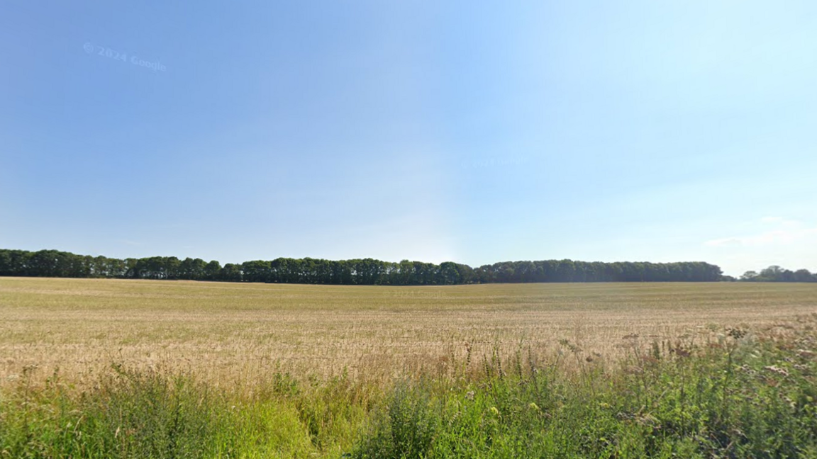 An image of a bare arable field is shown under bright blue skies, with a grass verge in the foreground and a line of trees in the background.