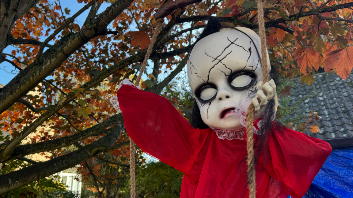 A close-up image of a skeleton baby figure which is hanging from the tree.