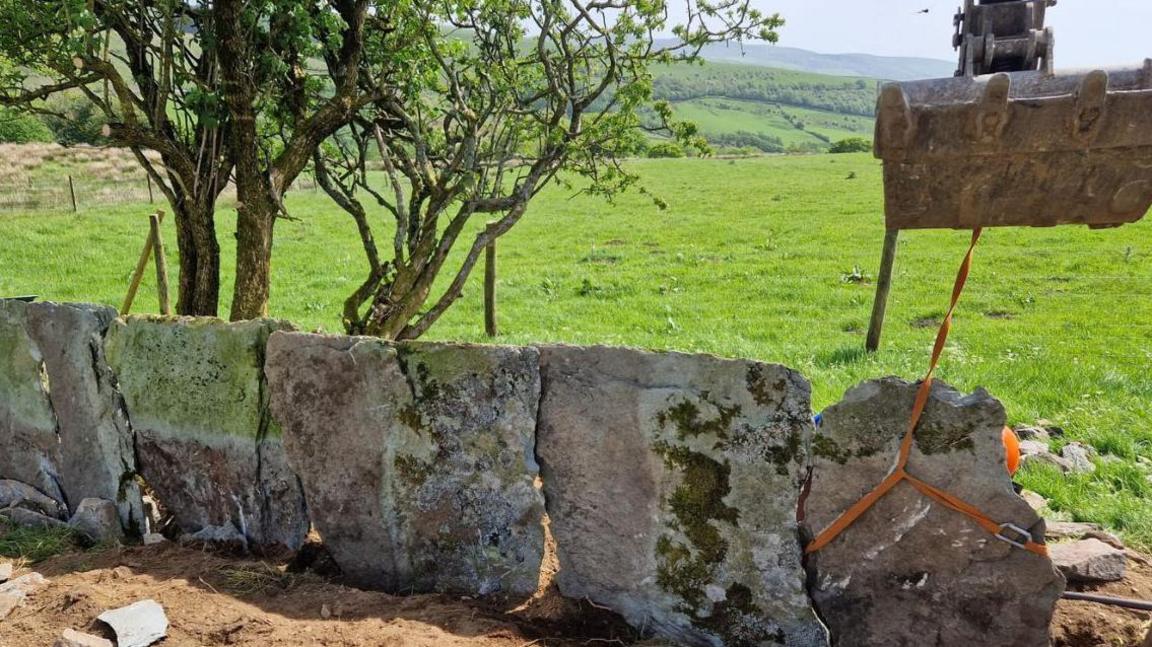 Tall shards of slate, which are covered in lichen and moss, interlock together together on farm land, marking a boundary. There is a front part of a digger tied to one shard, after it was just laid into the ground. 