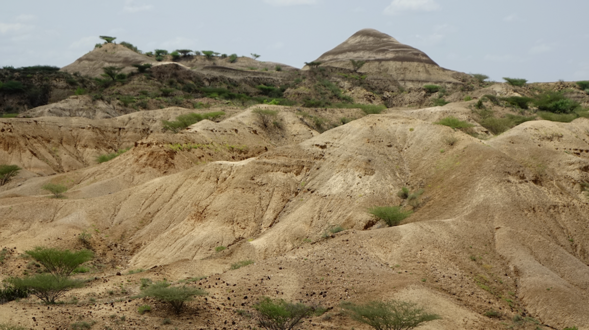 The picture shows a broad, arid landscape of tan and sandy hills with gentle slopes and eroded gullies, dotted with small green shrubs and sparse trees. In the background, there are a few dome-shaped hills and patches of vegetation, beneath a pale blue sky with scattered, wispy white clouds. The overall scene is dry and rugged, evoking a sense of ancient terrain shaped by long-gone water flows
