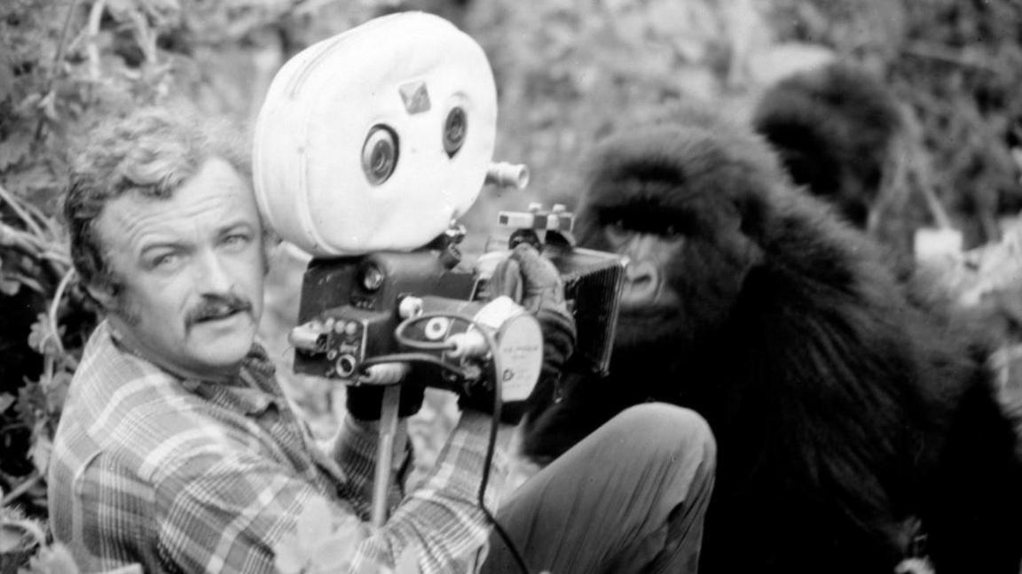 A black and white image of a cameraman holding equipment, looking towards the camera while a gorilla sits beside him.