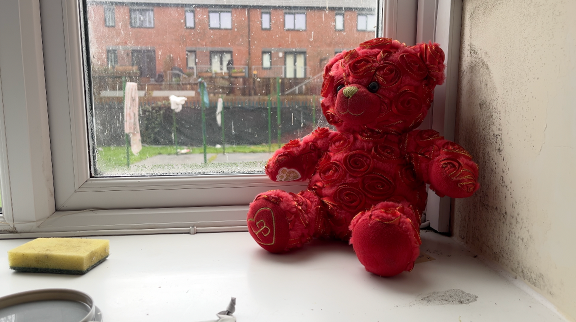 A red teddy bear with a rose design sits on a window ledge. The wall to the right of it is covered in speckled black mould. There is condensation on the window behind the bear and some patches of wet and mould on the window sill.