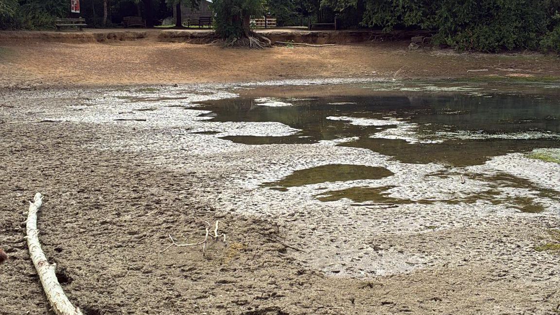The lake has been reduced to puddles, leaving thick mud where the water once was, up to the bank of the lake. 