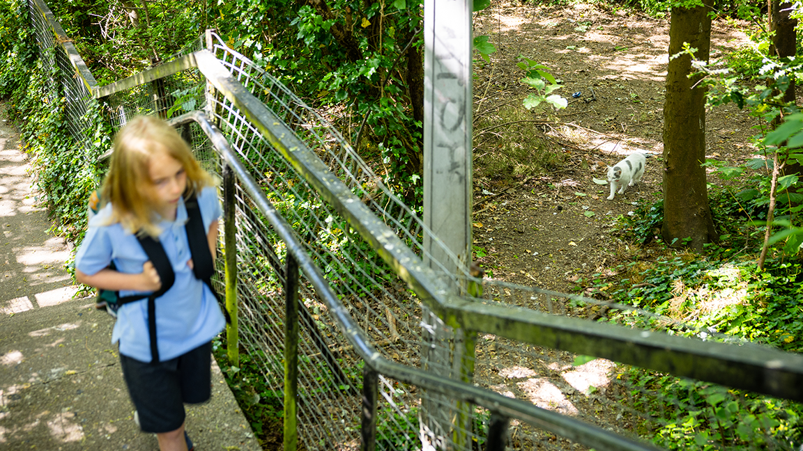 Boy walking up stairs whilst cat follows in the distance