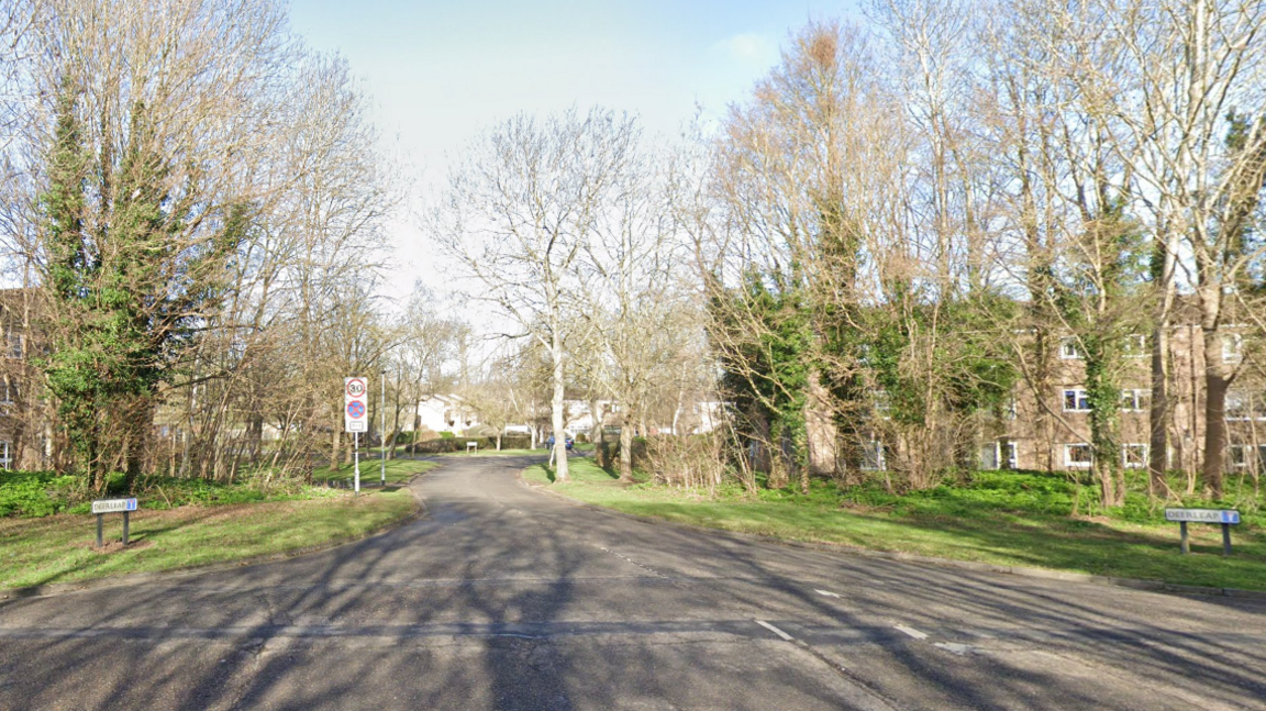 A wide tree-lined road with a sign at the entrance saying "Deerleap" with blocks of flat in the background. 