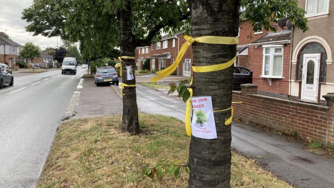 Two trees with yellow ribbons wrapped round attaching Save Our Trees posters. the trees are on the verge of a residential street with houses and cars seen in the photo.