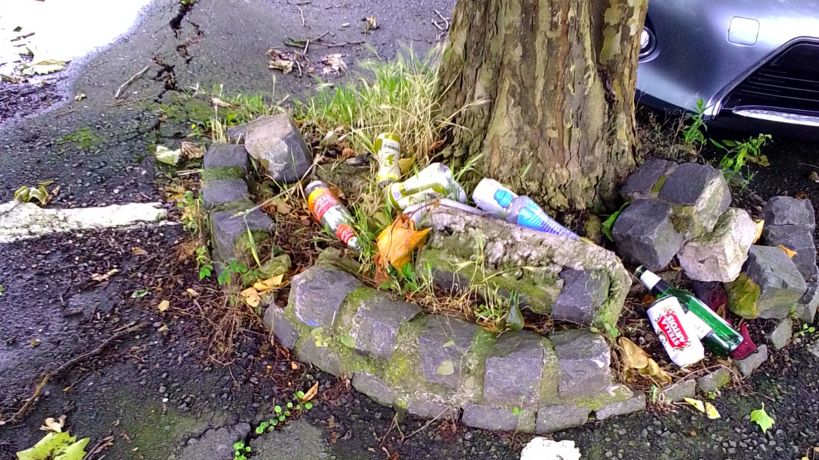 Litter strewn around the base of a tree in a car park