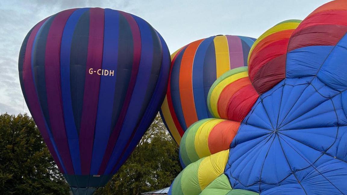 Three balloons, on the ground, of different colours dominate the photo. Trees are in the background.