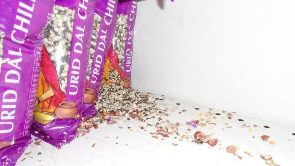 A row of bags of food - one broken open with the food spilling out onto the shelf.