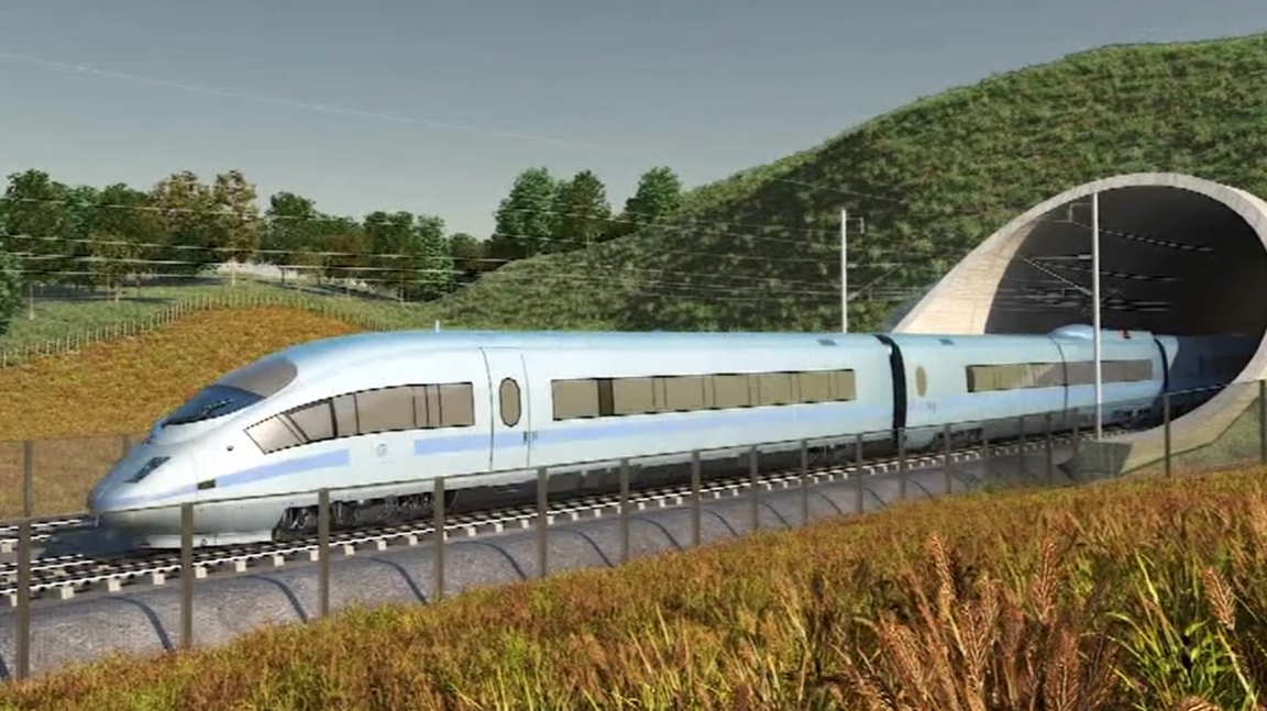 A silver-coloured train coming out of a tunnel with grass growing over the top. There are grasses and a fence in the foreground.