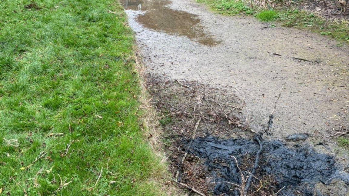 The boggy canal with a grass bank to the side. 