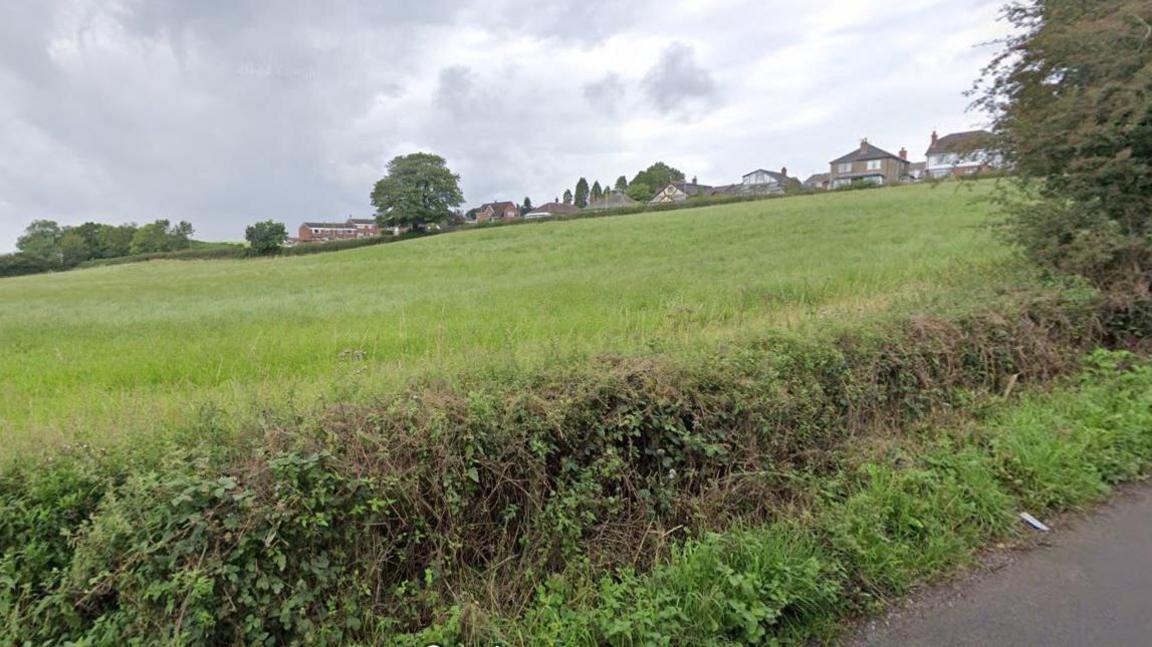 A field and hedgerow between Coppice Road and Merelake Road, in Talke, Staffordshire