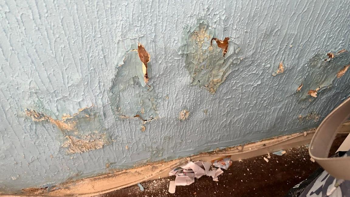 Blue painted textured wallpaper which has bubbled up in places and split the paper. Some of the covering has flaked off.