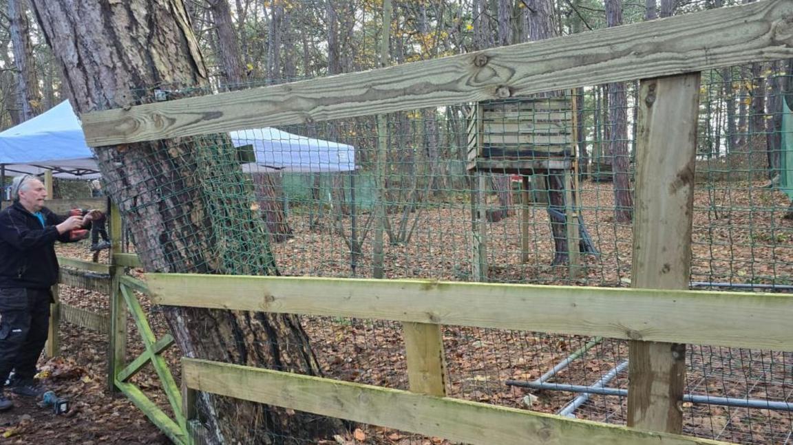 A man is pictured putting up some wooden fencing and plastic mesh in a forest setting