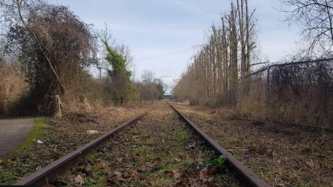 The closed railway line captured from on the tracks at ground level. It is overgrown with leaves and grass on a winters day with bare trees lining either side of it