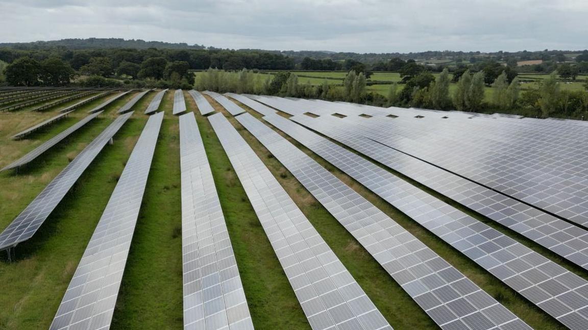 Rows of solar panels in a field