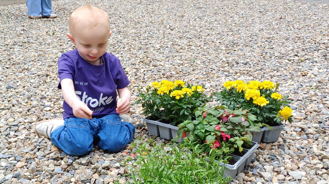 Shows a child wearing a purple t-shirt and jeans playing with flowers