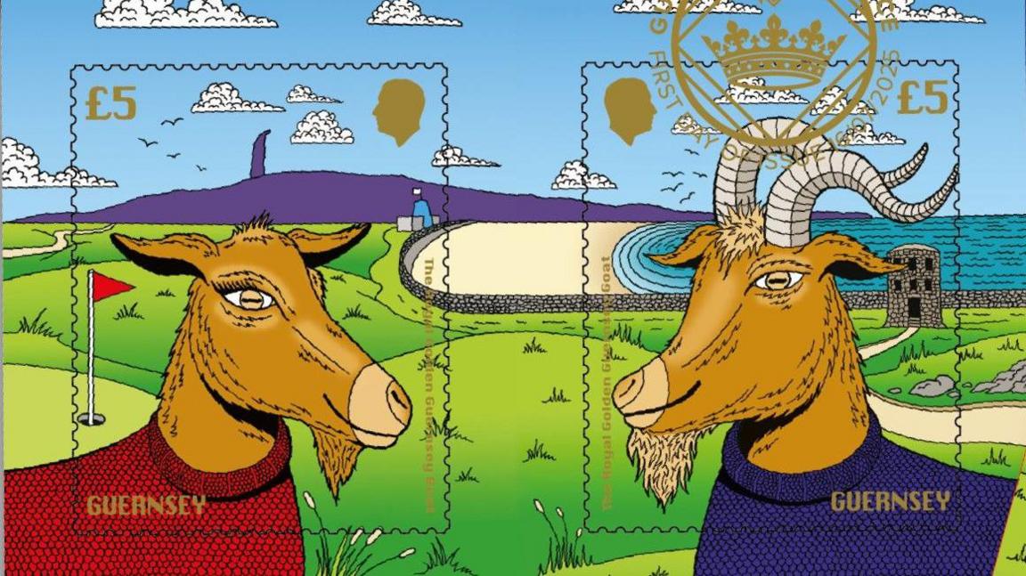 The physical goat stamps showing cartoon drawings of two goats wearing Guernesy jumpers.