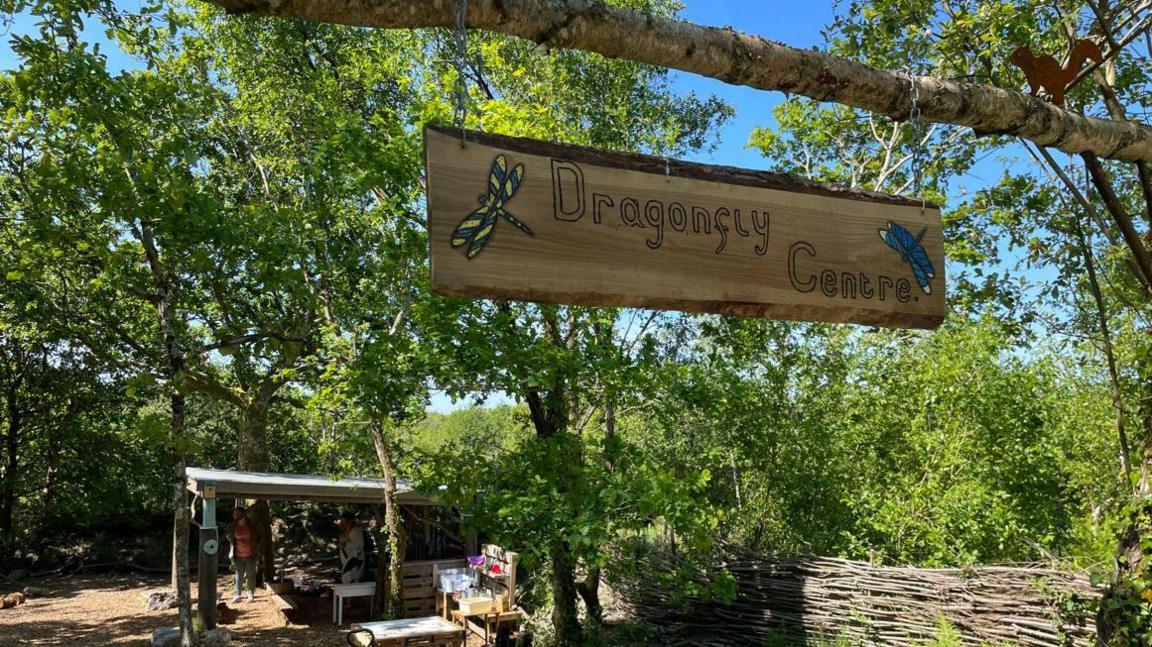 The Dragonfly Centre forest school at Lanjeth Nursery and Water Gardens. It is a sunny day and a wooden sign for the forest school is hanging from a wooden gate. Several trees are in the school along with a shelter, tables and chairs.