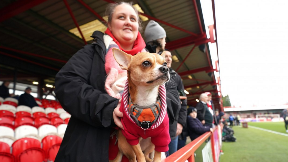 A Stanley fan holds her dog, with a red jumper, on the side of the pitch before an FA Cup game