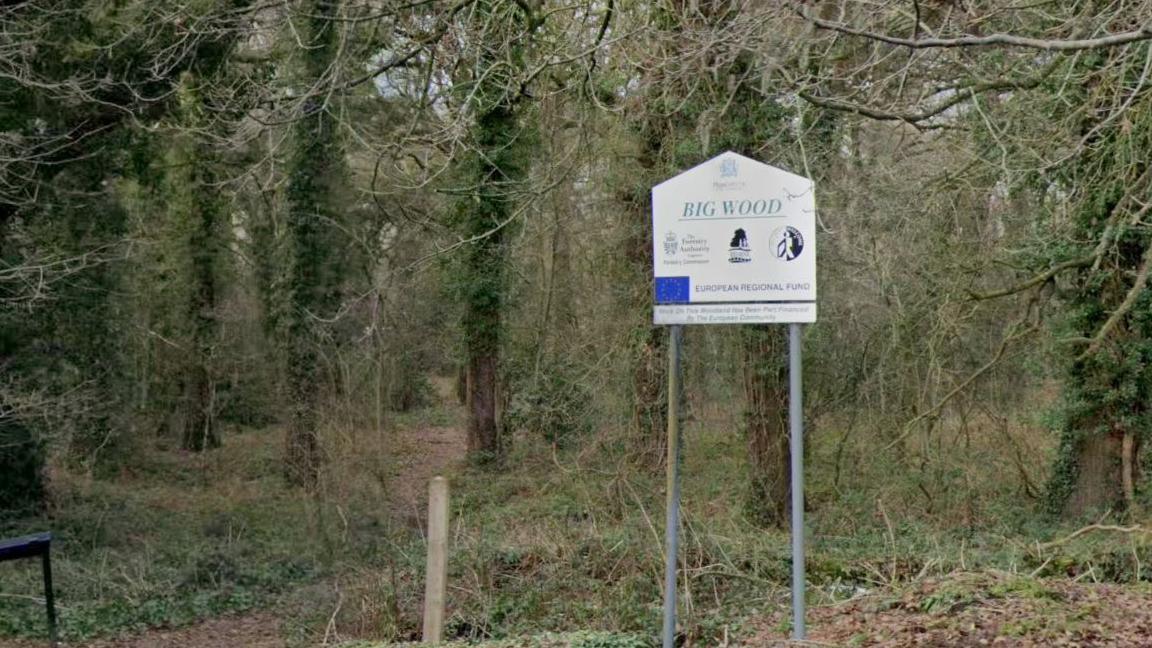 A google street view image of the wooded area off Threapwood Road, Wythenshawe, known locally as Big Wood