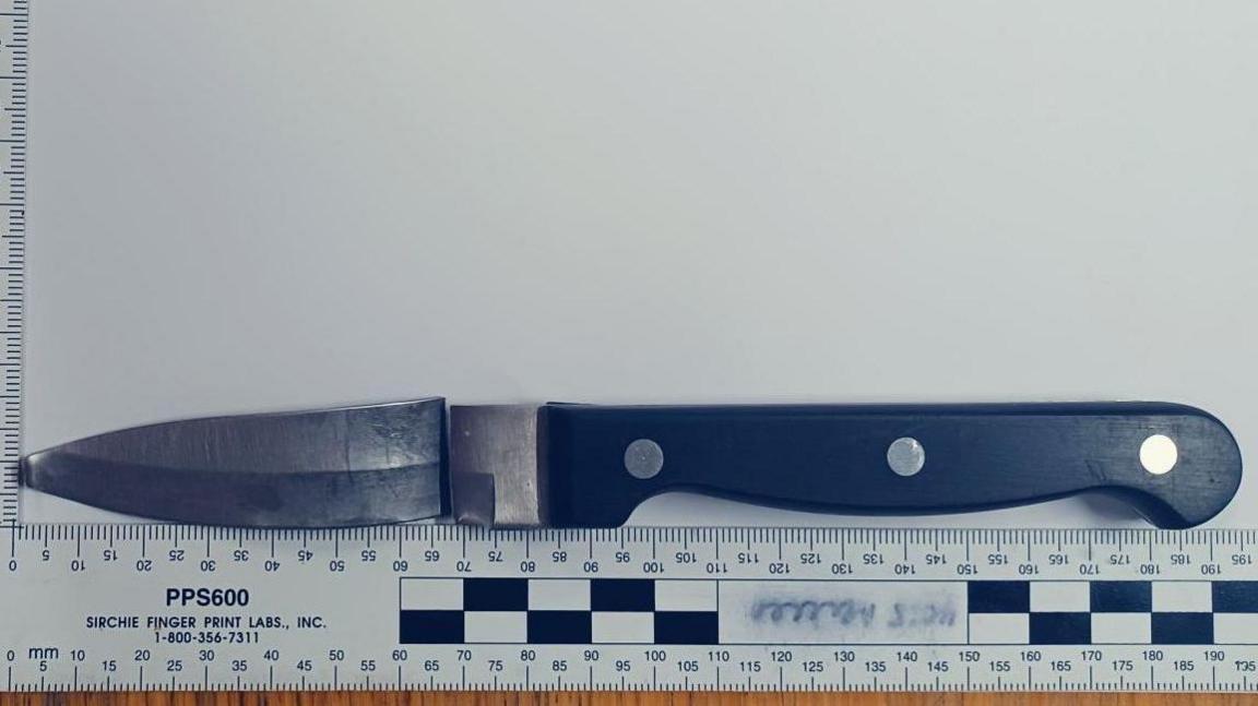 A black handled kitchen knife, the blade has been snapped away from the hilt but is placed above oit. Below is a ruler measuring the blade and handle to be 195cm long