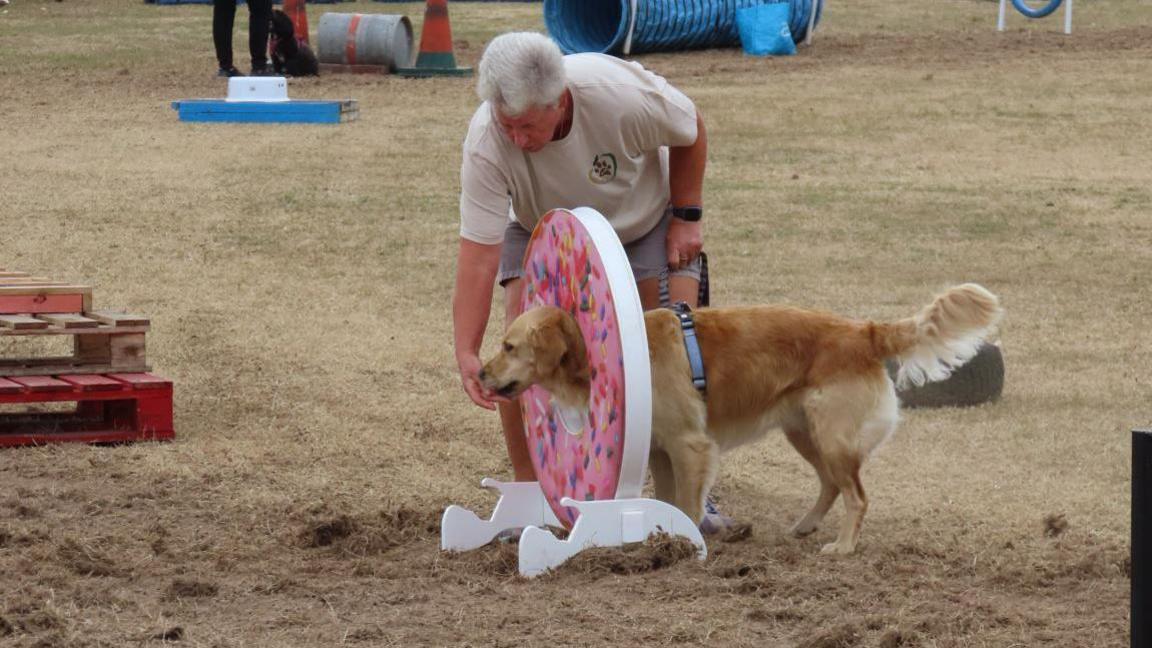 A person with grey hair and a beige T-shirt on tries to encourage their golden retriever dog to perform during a dog agility show at the North Show. The dog's head is poking through a ring made to look like a pink doughnut with sprinkles.