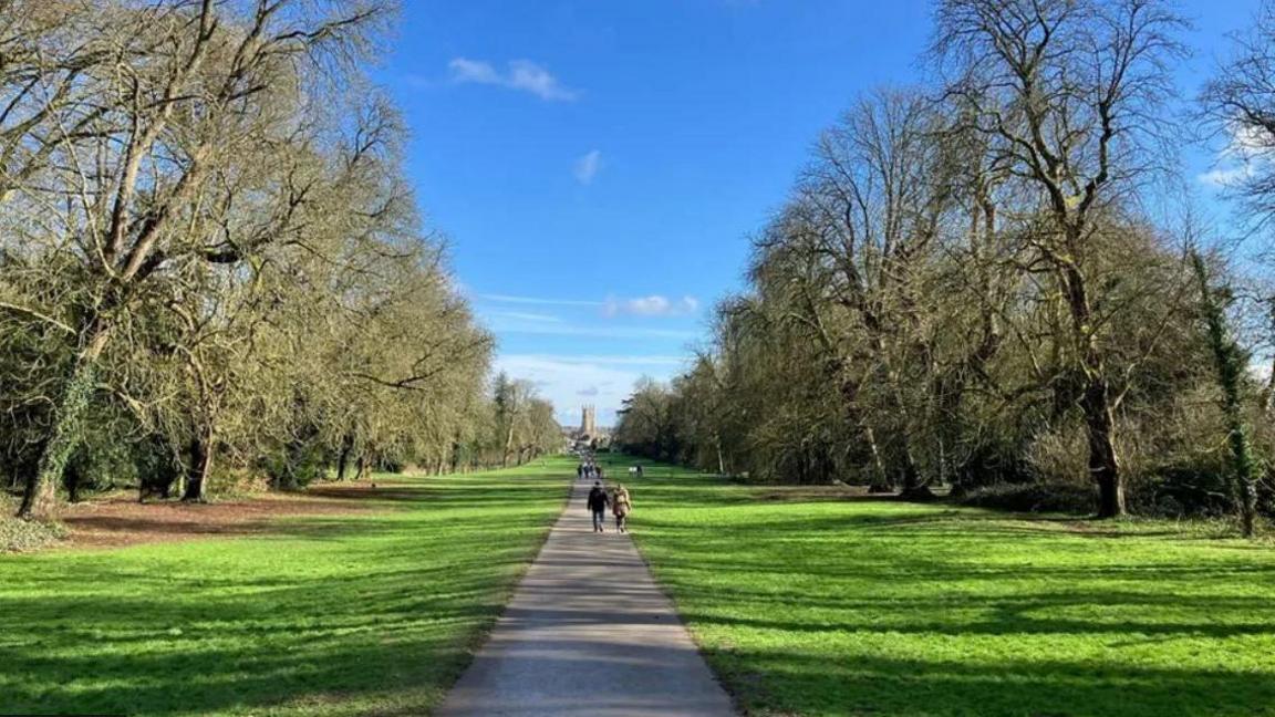 Cirencester Park