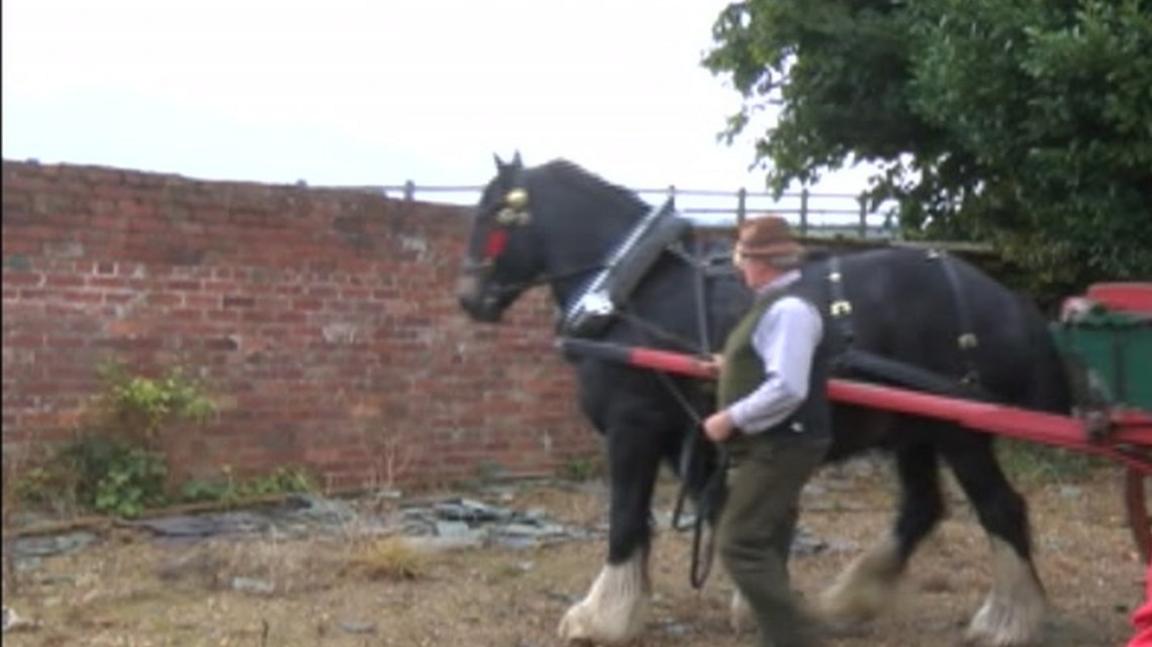 Horse at Beamish