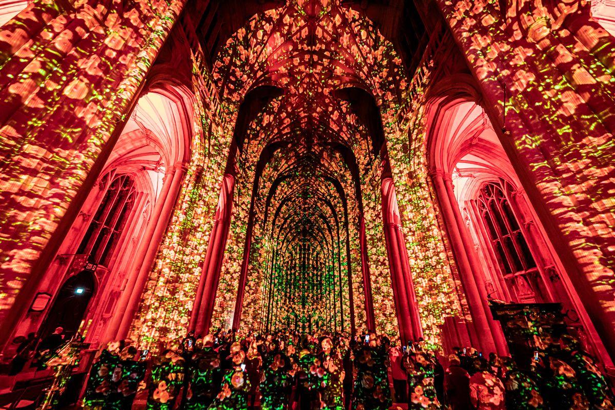 Images of red poppies with green leaves projected inside Gloucester Cathedral. The building is lit up at night. 