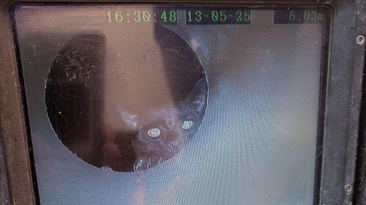 A blurry image shows a black kitten's face looking out of some sort of window. A marker at the top of the image shows the time and date of the camera shot